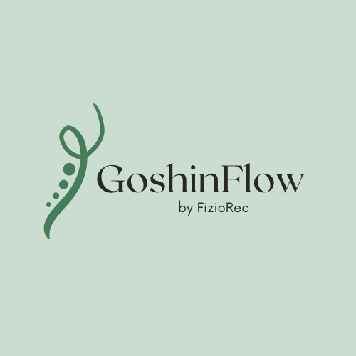 Goshinflow Logo
